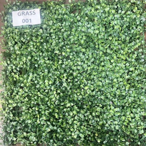 GRASS-001