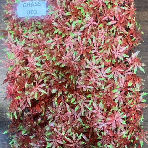 GRASS-003