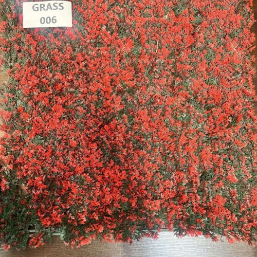 GRASS-006